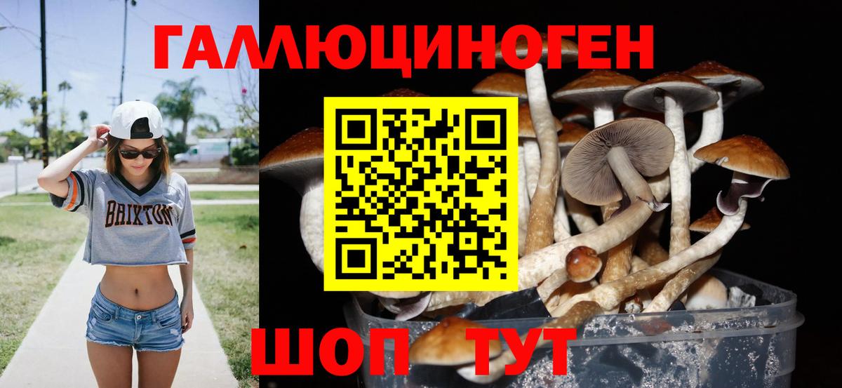 Апрелевка  Галлюциногенные грибы Psilocybe  Псилоцибиновые грибы ЛСД  цена наркотик  Вход с VPN 