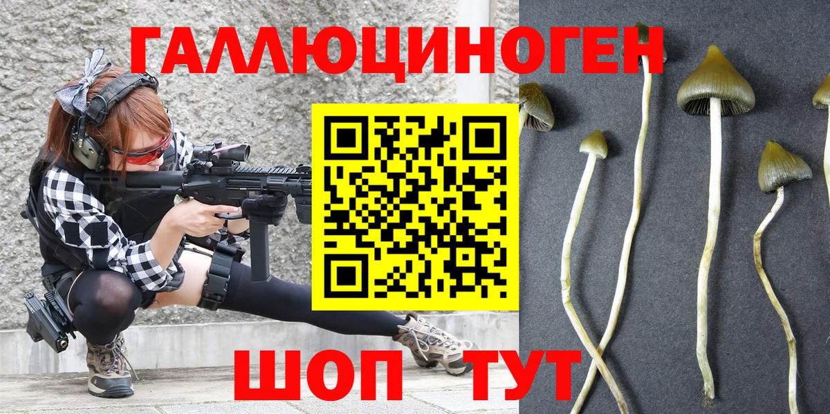 Галлюциногенные грибы мицелий Апрелевка